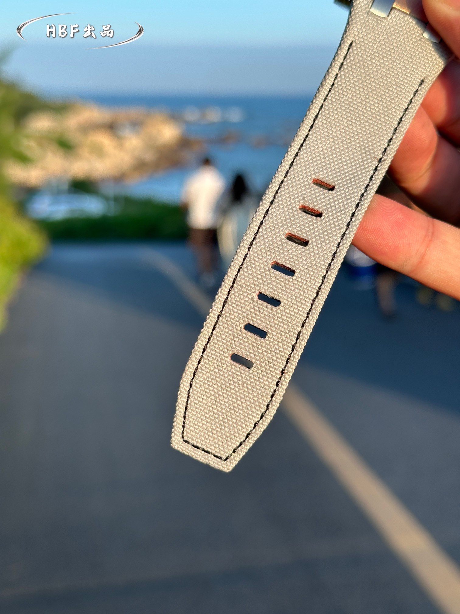 Audemars Piguet watch